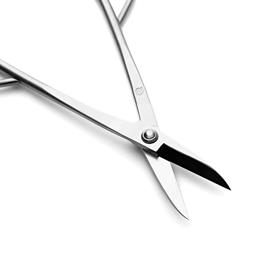 Bonsai Scissors Bonsai Tools (T 180 scissors)