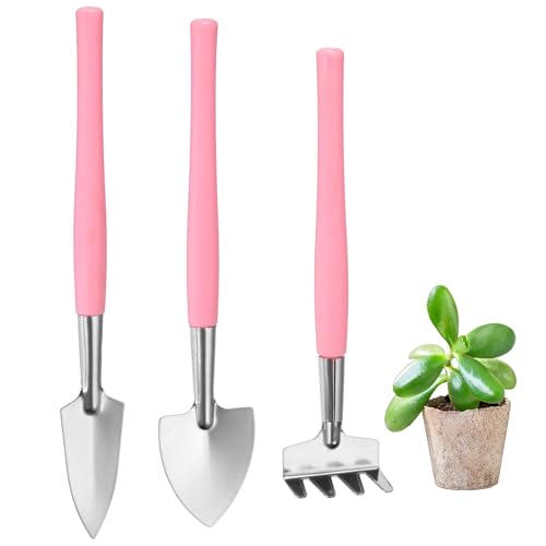 M METERXITY 2-Set Mini Gardening Tools, Stainless Steel Miniature Gardening Rake, Trowel, and Shovel for Seedlings/Bonsai/Succulents/Herbs/Terrariums and Planting [Pink] - color: Pink