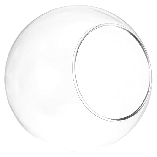 PATIKIL Round Globe Terrarium Air Plant Planter, 4 Inch Clear - size: 4 Inch