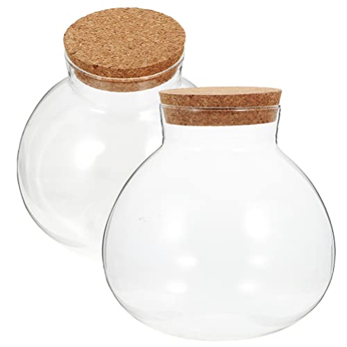 Healeved 2Pcs Sealed Glass Terrarium Bottle 5.11In Round Globe Jar Transparent Micro Landscape Container for Moss Succulent Desktop Home Decor