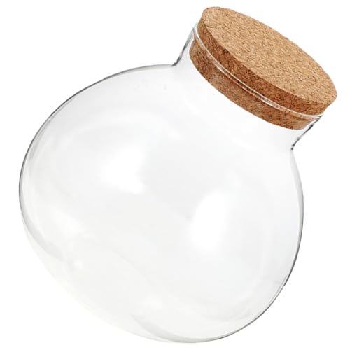 Microlandscape Bottle Glass Cork Round Terrarium Jar for Plants