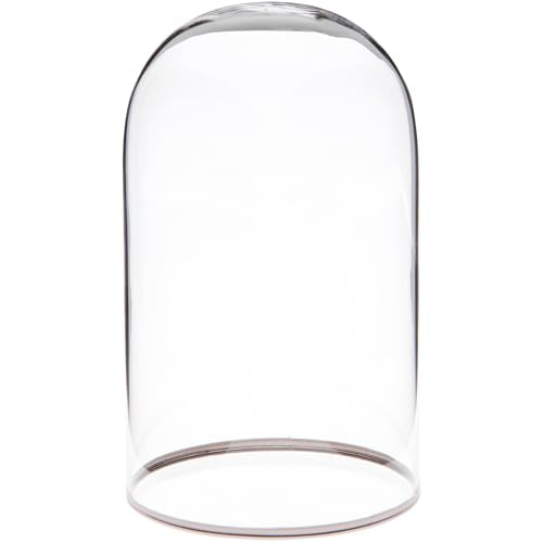 Plymor 3" x 5" Glass Display Dome Cloche with Silver Rim (no Base) - size: 3" x 5"