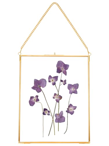REDHUGO Hanging Pressed Flower Frames, Double Glass, Gold, 8x10 Inches - color: Gold, size: 8L" x 10W"