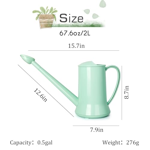 XXXFLOWER Wall Hanging Propagation Station with Wooden Stand 5 Glass Test Tubes 3 Tiered + 2L Long Green Spout Removable Nozzle Flower Watering Pot