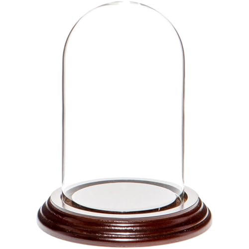 Plymor 3" x 5" Glass Display Dome Cloche (Dark Mahogany Veneer Base) - color: Dark Mahogany Veneer Base