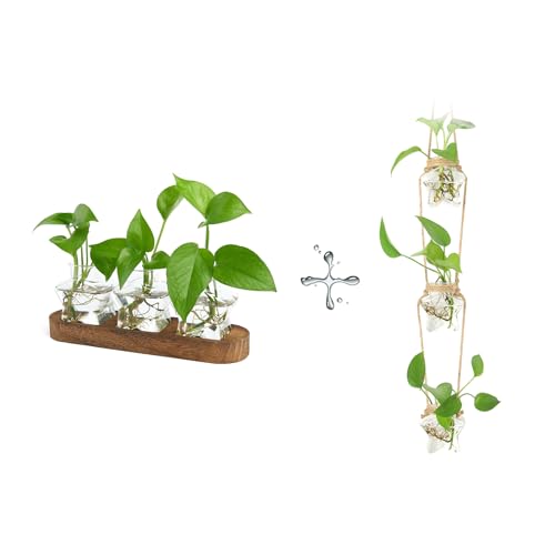 XXXFLOWER Plant Propagation Station with Wooden Stand+ 3 Tiers Star Wall Hanging Propagation Station