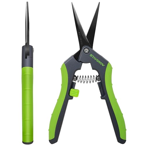 6.5" Gardening Scissors, Ultra Sharp Plant Trimming Scissors - size: 6.5" Straight*2