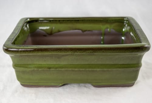Yubonzai Rectangular Moss Green Glazed Bonsai Pot, Cactus & Succulent Planter with Mesh - 10"x 8"x 3.25" (765-10MG)