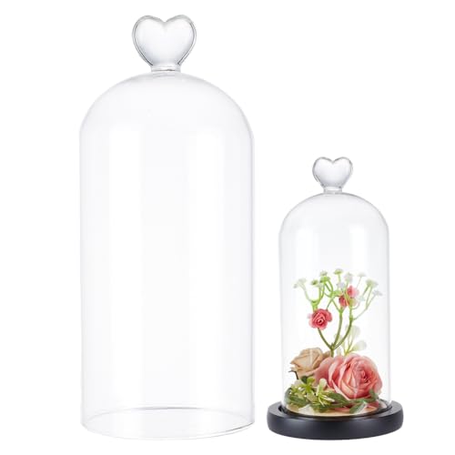 UNICRAFTALE Clear Glass Bell Jar 7.87"x3.54" Glass Dome Cloche Antique Collectibles Dome Showcase Decorative Bell Jar with Heart Handle for Plants Fairy Lights Table Decor Medal Photos