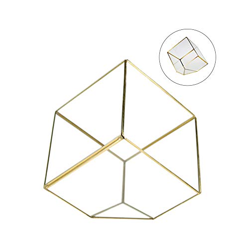 WGV Geometric Planter Terrarium, Width 11.5" Height 12" Clear Glass Gold Frame DIY Succulent air Plant Miniature Fairy Garden Windowsill Tabletop Decor, Tilted Cube 1 Piece - color: Gold, size: Tilted Cube 8"