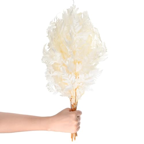 M METERXITY 10-Pack Fern, 15" Natural Dried Greenery with Stems for Wedding Garland Bouquet/Home Party/DIY Crafts Decors, Dried Plants [White] - color: White