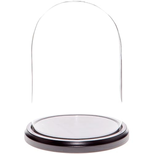 Plymor 5.5" x 8" Glass Display Dome Cloche (Black MDF Wood Base) - color: Black Wood Base