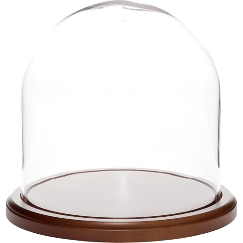 Plymor 8 inch x 8 inch Glass Display Dome Cloche (Dark Wood Base) - color: Dark Wood Base