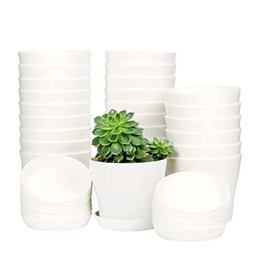 TDHDIKE 10 Pcs Plastic Planters Indoor Flower Plant Pots (White25) | Mini Seedlings Nursery Pot with Pallet, Modern Decorative Gardening Containers - color: White25