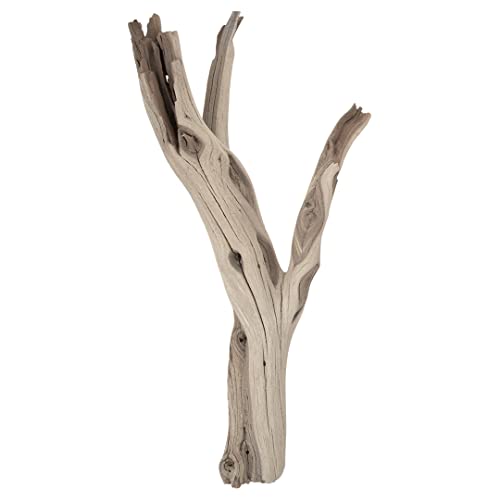 Koyal Wholesale 12” Driftwood Terrarium Decor, Clean California Manzanita Drift Wood Reptile Decor, Driftwood Decor for Home, Desert Reptile Supplies - size: 12"
