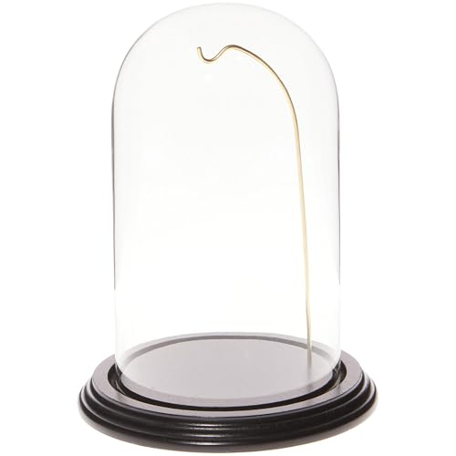 Plymor 4.5" x 8" Watch/Ornament Glass Display Dome Cloche (Black Wood Veneer Base & Gold Wire) - color: Black Base / Gold Wire