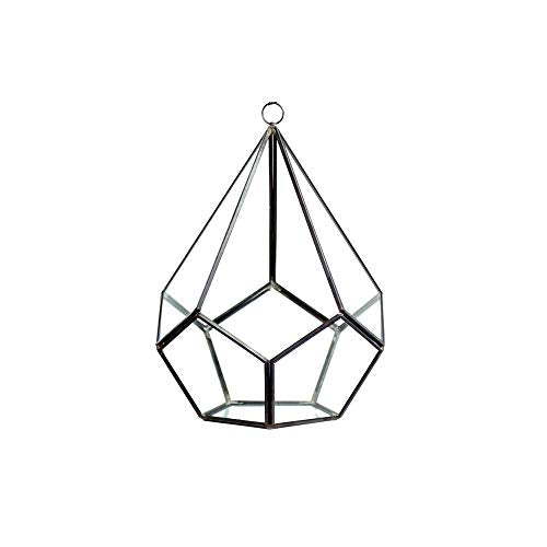 WGV Hanging Geometric Planter Terrarium Width 6.5" Height 8.75" Clear Glass Black Frame DIY Succulent air Plant Miniature Fairy Garden Windowsill Decor Teardrop 1 Piece - color: Black, size: Geo-Droplet 9"