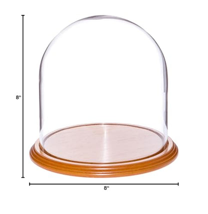Plymor 8" x 8" Glass Display Dome Cloche (Oak Veneer Base) - color: Oak Veneer Base