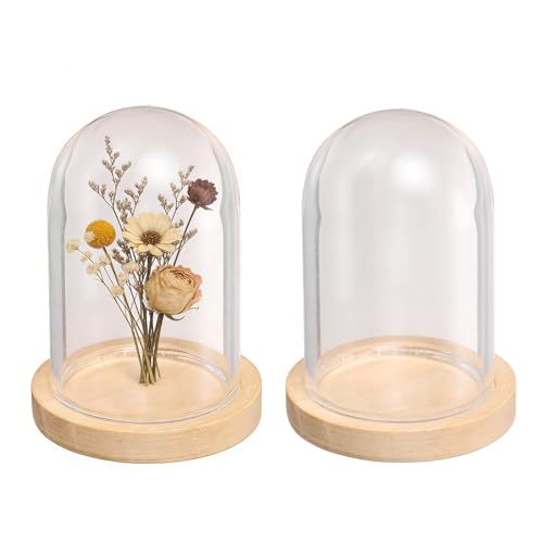 uxcell 2pcs Glass Display Dome 1.2"x1.6" Clear Cloche Glass Dome Bell Beige - color: Beige, size: 1.2x1.6"