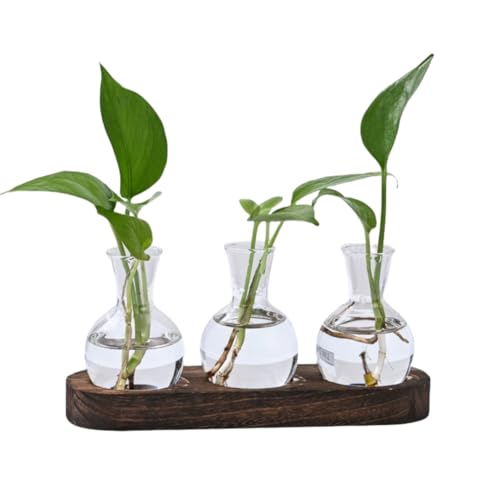 KUPOO Plant Propagation Station Wooden Stand with Glass Vases for Home&Office Decor