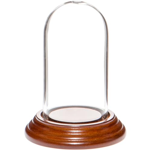 Plymor 1.85" x 3.5" Mini Glass Display Dome Cloche (Walnut Veneer Base) - color: Walnut Veneer Base