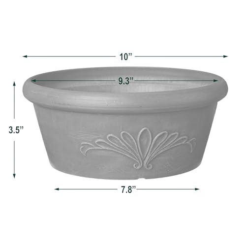 Arcadia Garden Products PSW TA25C Plastic/Stone/Wood Composite Bulb Pan – No Drainage Hole (Drillable), Planter Bowl for Succulents, Bonsai, Fairy Gardens, Herbs,10"x3.5", Chocolate (Pack of 12) - color: Chocolate, size: 10"x3.5" (Pack of 12)