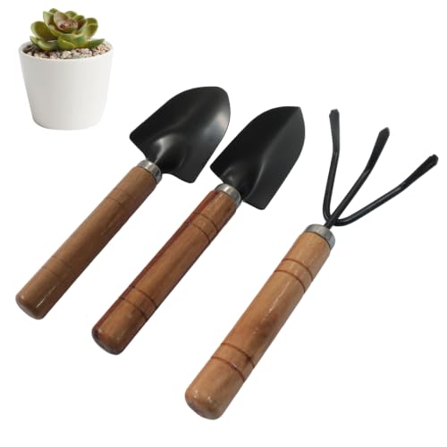 3 Pcs Mini Garden Tools Set | Rust Resistant Mini Shovel Ergonomic Small Trowel, Solid Wood Hand Rake for Indoor Gardening Succulent/Bonsai/Pot Plants - color: 3 Shovels