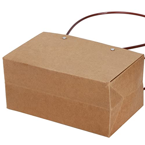 DEAYOU 10-Pack Kraft Paper Flower Gift Bags, Brown Bouquet Bag Box with Handle, Small Brown Paper Carrier Tote Bags with Waterproof Lining for Floral Arrangements, Party Favor, Ultra Thick