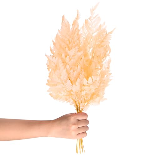M METERXITY 10-Pack Fern, 15" Natural Dried Greenery with Stems for Wedding Garland Bouquet/Home Party/DIY Crafts Decors, Dried Plants [Beige] - color: Beige
