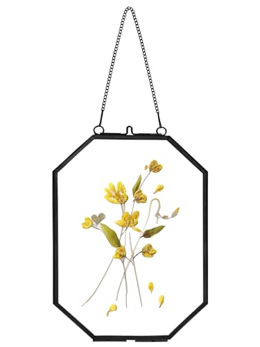 REDHUGO Pressed Flower Frames, Glass Floating Frames for Display Dried Plant Specimen Picture, Hanging Brass Photo Frame with Chain, Double Clear Glass, Vintage Wall Decor, Octagon, Black, 5x7 Inches - color: Black, size: 5 X 7 inches