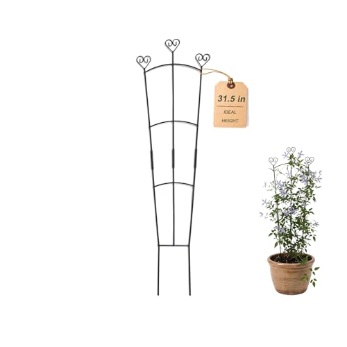 31.5 Inch Trellis for Potted Plants, Metal Plant Trellis for Climbing Plants, Plant Support for Ivy, Monstera, Hoya, Indoor & Outdoor Houseplant Trellis, Black, 1 Pack - size: 1 Pack/31in