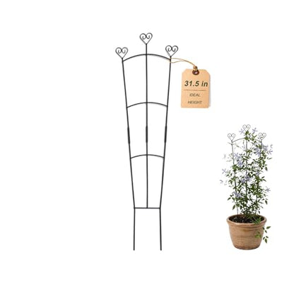 31.5 Inch Trellis for Potted Plants, Metal Plant Trellis for Climbing Plants, Plant Support for Ivy, Monstera, Hoya, Indoor & Outdoor Houseplant Trellis, Black, 1 Pack - size: 1 Pack/31in