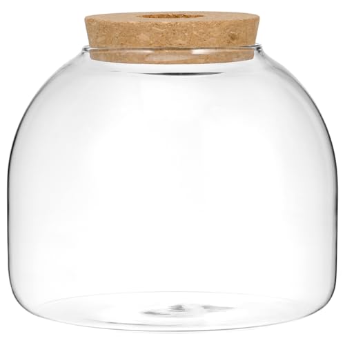 Mipcase Glass Terrarium Jar with Cork Stopper 2.3In Mini Hydroponic Ecosystem for Moss Ferns Micro Landscape DIY Gift for Home Office