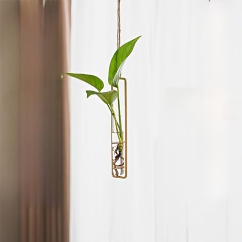 Hanging Glass Planter Transparent Plant Growing Container Wall Hanging Test Tube Vases Creative Thickened(S,Gold)
