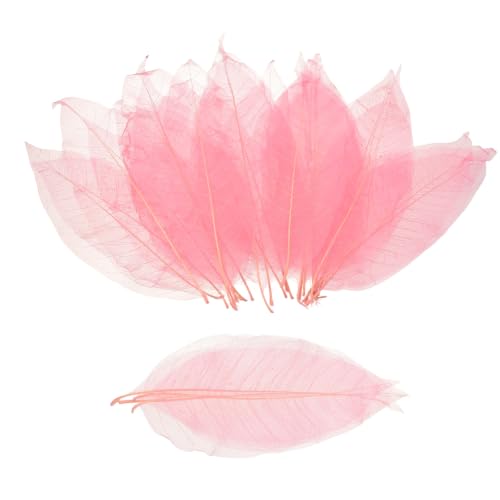 MECCANIXITY 100Pcs Skeleton Rubber Tree Real Leaves 5.9-7.1" Pink | Natural Scrapbook, for Resin DIY Craft Card Wedding Bouquets Seasonal Gift Home Decoration - color: Pink, size: 5.9-7.1 Inch