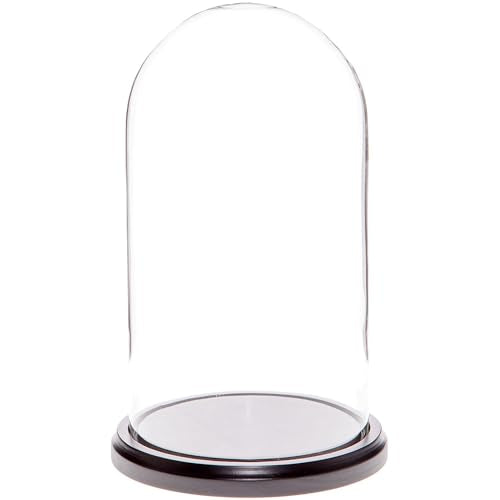 Plymor 5.5" x 10" Glass Display Dome Cloche (Black MDF Wood Base) - color: Black Wood Base