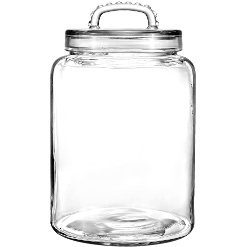 3 Gallon Glass Jar with Airtight Lid, Wide Mouth Large Glass Container