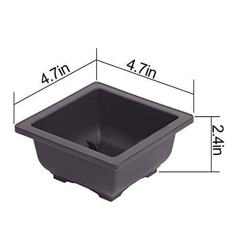 KINJOEK 15 PCS 4.7 Inch Plastic Small Square Plant Pots with Drainage Hole, Flower Succulent Bonsai Tree Pots Bonsai Starter Planter for Garden, Indoor, Home Decorative - size: 4.7 x 4.7 x 2.4 Inch