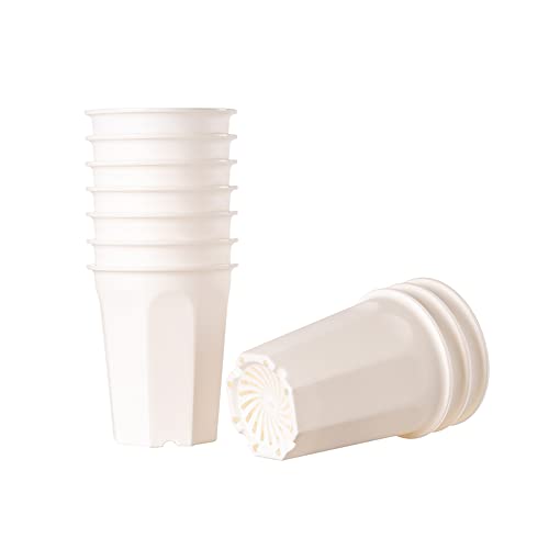 10 Pack 5.30 Inch White Plastic Deep Nursery Pot and Seedling Planter for Succulent, Cutting, Transplanting - color: White, size: 5.30 inch