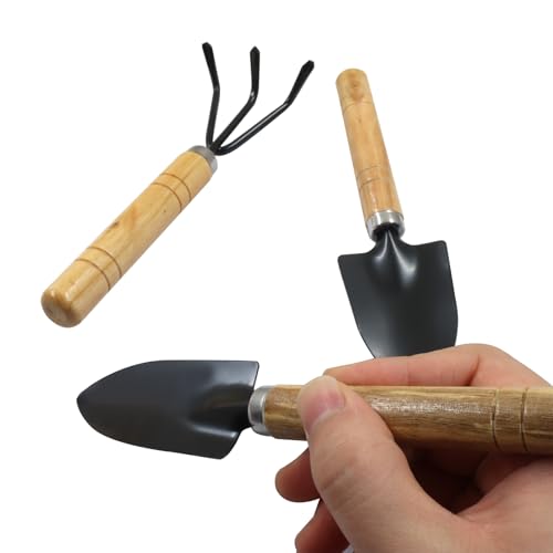 3 Pcs Mini Garden Tools Set, Iron Kit Including Small Trowel, Mini Shovel & Hand Rake for Succulent/Bonsai & Pot Plants - style: 3 Pcs