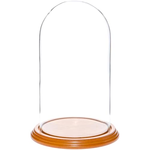 Plymor 5.5" x 10" Glass Display Dome Cloche (Oak Veneer Base) - color: Oak Veneer Base