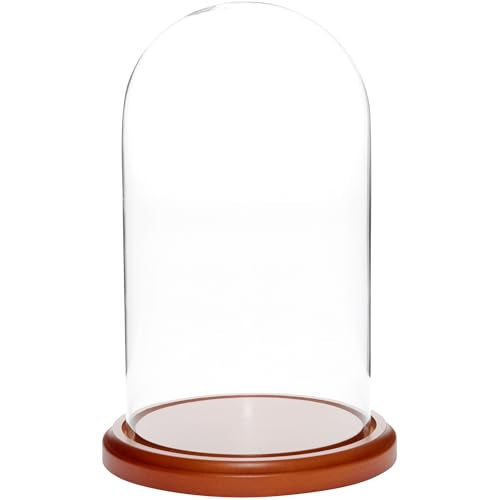 Plymor 5.5" x 10" Glass Display Dome Cloche (Walnut MDF Base) - color: Walnut MDF base