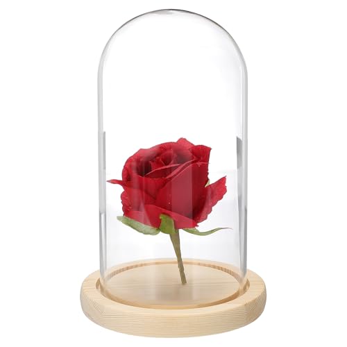 uxcell Glass Cloche Display Dome, 7.4" x 3.9" Glass Dome Display Case Wood Base Tabletop Jar Case Decorative Bell Jar for Plant Home Decor Office Wedding Party, Natural - size: 7.4" x 3.9"