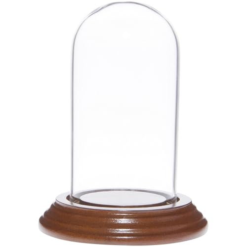 Plymor 2" x 4" Mini Glass Display Dome Cloche (Walnut Veneer Base) - color: Walnut Veneer Base
