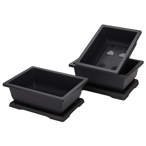 MANCHAP 3 Pack 11 Inch Large Plastic Bonsai Training Pots, Rectangular Bonsai Pot with Drainage Tray, Plant Flower Growing Bonsai Tree Planter for Garden, Yard, Home