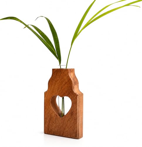 Wooden Plant Propagation Station Stand with Single Glass Test Tube Indoor Desktop Terrarium for Hydroponics Water Plant Cutting Flower Vase Planter Home Office Garden Decor Plant Lover Gifts (Brown)