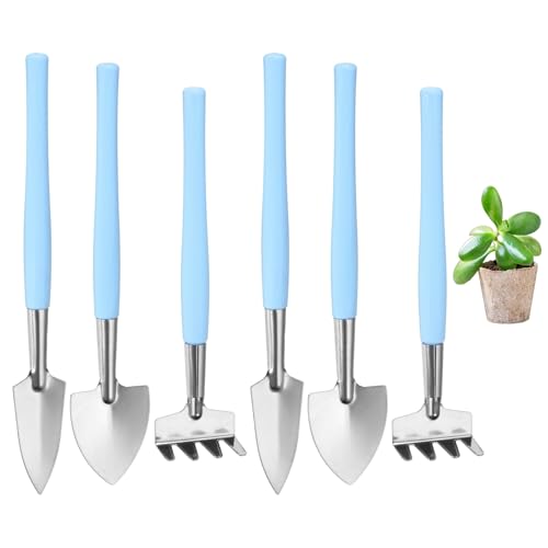 M METERXITY 2-Set Mini Gardening Tools, Stainless Steel Miniature Gardening Rake, Trowel, and Shovel for Seedlings/Bonsai/Succulents/Herbs/Terrariums and Planting [Blue] - color: Blue