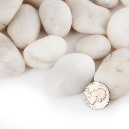 11LB River Pebbles Polished Gravel for Plants Natural White Plant Stones River Rocks 3/4-1 5/8 Inch River Stones for Landscaping Small Pebbles for Crafts - size: 11lb, style: White