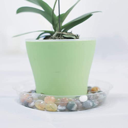 TRUEDAYS 20 Pack 8 Inch Plant Saucers Clear Plant Saucers Flower Pot Plastic Drip Trays Excellent for Indoor & Outdoor Plants - size: 20-Pack (8'' Only)
