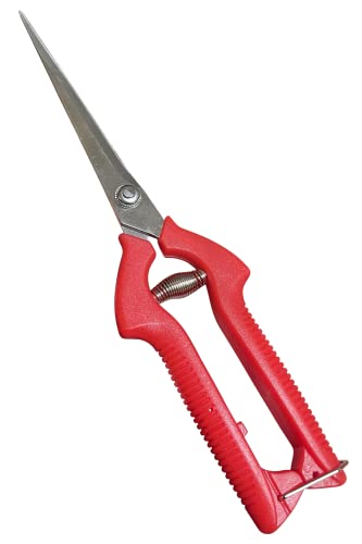 Garden Guru Extra Long Stainless Steel Pruner Pruning Shears Clippers Snips – Sharp Bonsai Cutter Plant Trimming Scissors – Straight Blade Garden Scissors Tool – Great for Roses Flowers Herbs Fruits - size: 1 Pack, style: Long Blade Snips